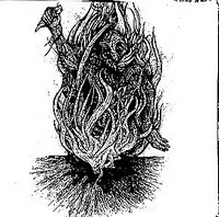 Bone Awl / Furdidurke von Furdidurke – Cover