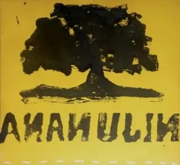 Ananujin von Boy Problems – Cover