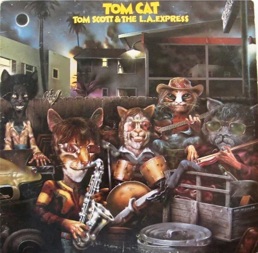 Tom Cat