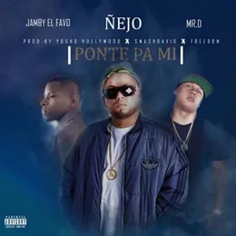 Ponte pa' mí von Ñejo – Cover