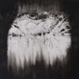 Dying Embers to Coldening Coals von Flail – Album Cover