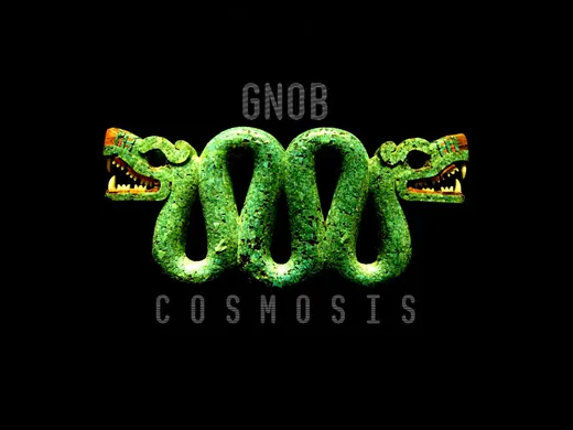 Cosmosis