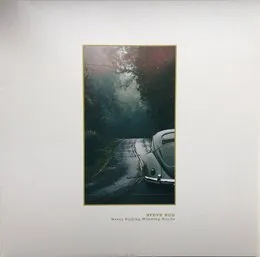 Never Ending Winding Roads von Steve Bug – Album Cover