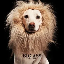 THE LION von บิ๊กแอส – Album Cover