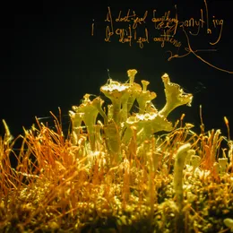 i don't feel anything von Willzyx – Album Cover