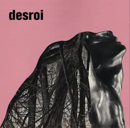 Vermillion Border von Desroi – Cover