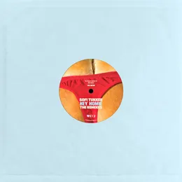 Hey Homie: The Remixes von TroyBoi – Cover