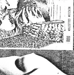 Collection:008 von Merzbow – Album Cover