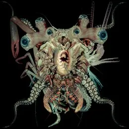 Ritual Glow von DJ Skull Vomit – Album Cover