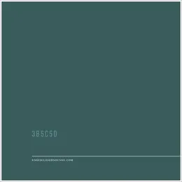3B5C5D von UNDISCLOSED – Cover