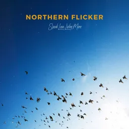 Northern Flicker von Sheath – Cover