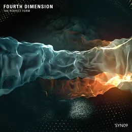 The Perfect Form von Fourth Dimension – Album Cover