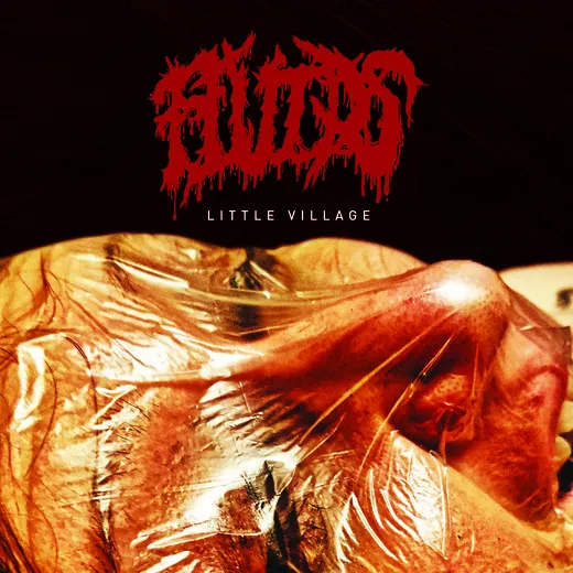 Little Village von Fluids – Album Cover