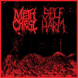 Methchrist / Self Harm von Methchrist – Cover