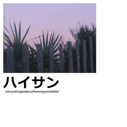 sorryidroppedyoufrommyanimelist von High Sunn – Album Cover