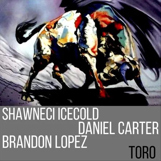 Toro