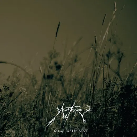 To Lay Like Old Ashes von Austere – Album Cover