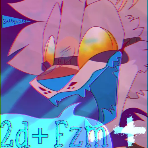 2d+Fzm PLUS