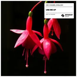 Use Me Up von CID – Album Cover