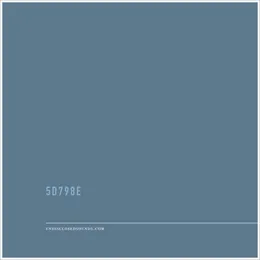 5D798E von UNDISCLOSED – Album Cover