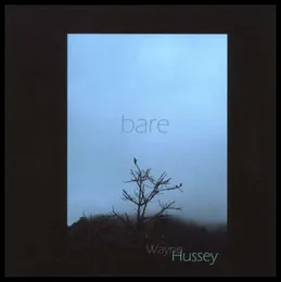 Bare von Wayne Hussey – Album Cover