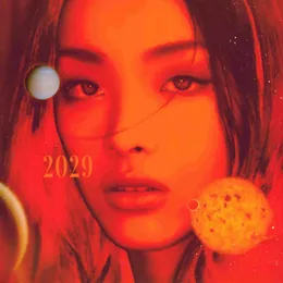 2029 von 刘柏辛 – Album Cover
