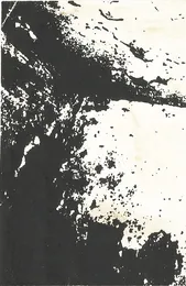 Compositions: Depression & Ideal von PBK – Album Cover
