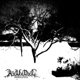 Desolation von A.V.D.L – Cover