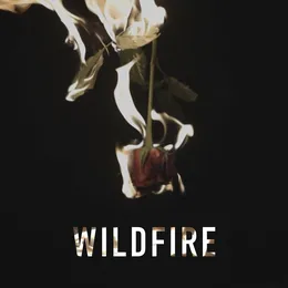 Wildfire von IN VICE VERSA – Cover