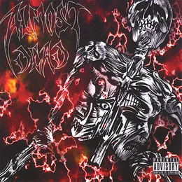 Internal Chaos von Almost Dead – Album Cover