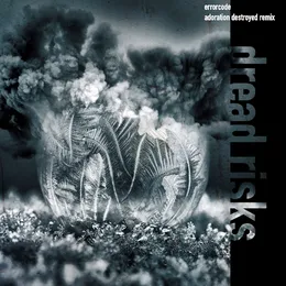errorcode (adoration destroyed remix) von Dread Risks – Cover