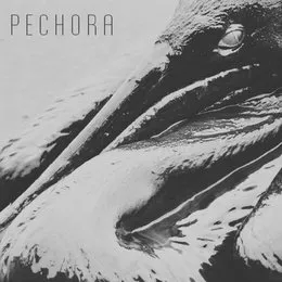 Тёмные Воды von Pechora – Cover