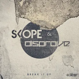 Break It Up EP von Disprove – Album Cover
