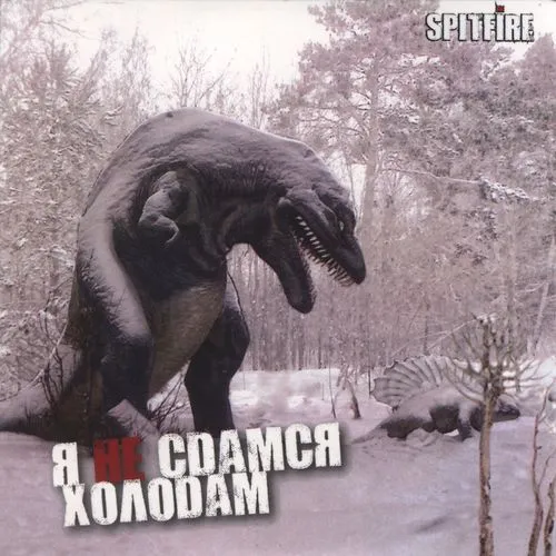 Я не сдамся холодам