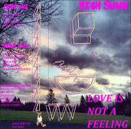 LOVE IS NOT A FEELING von High Sunn – Album Cover