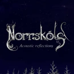 Acoustic Reflections von Norrsköld – Cover