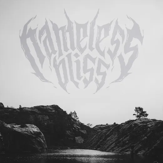 Nameless Bliss