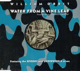 Water From a Vine Leaf von William Orbit – Album Cover