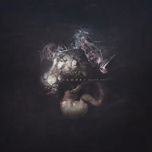 Augur Nox