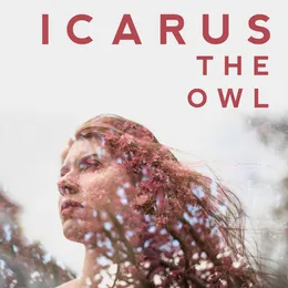 Rearm Circuits von Icarus the Owl – Album Cover