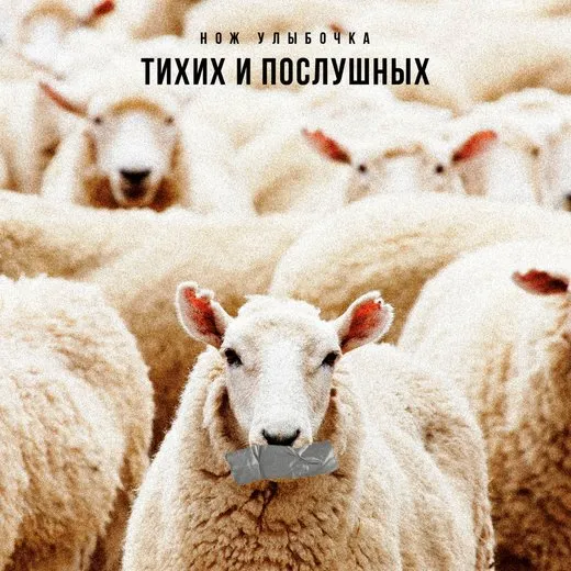 тихих и послушных