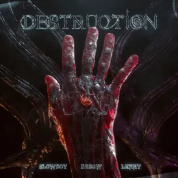 Destruction von Slowboy – Cover