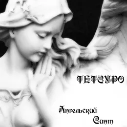 Ангельский синт von TETSURO – Album Cover