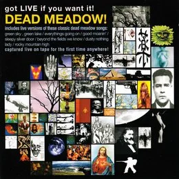 Got Live If You Want It von Dead Meadow – Album Cover