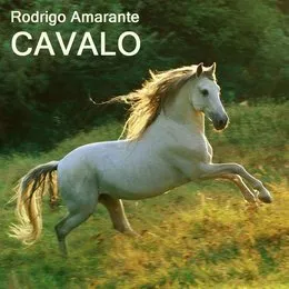 Cavalo von Rodrigo Amarante – Album Cover