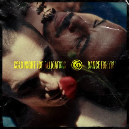Dance for You von Cold Night for Alligators – Album Cover