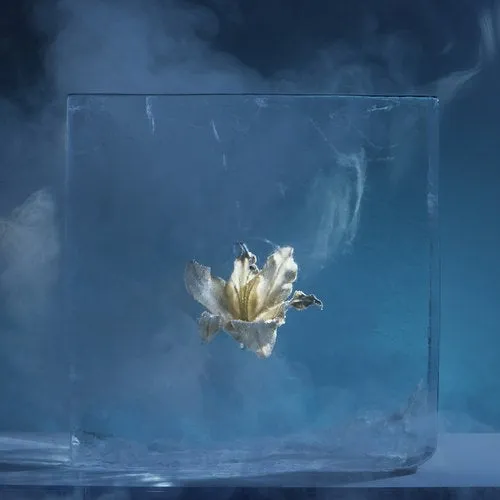 Sequence, Pt. I von Else – Album Cover