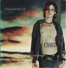 Check Your Head von Josh Todd – Cover
