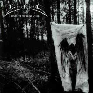 Withered Sunlight / False Guardians