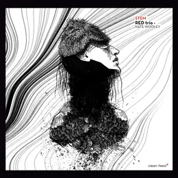 STEM von Nate Wooley – Album Cover